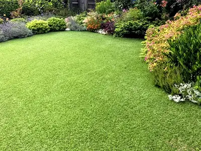 Artificial Turf, Litchfield Park, AZ Artificial Turf, Litchfield Park, AZ