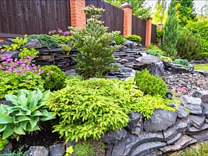 Pondless